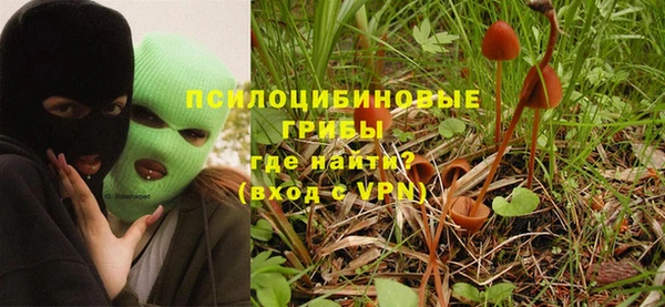 амф Белокуриха