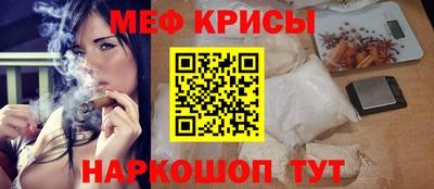 индика Гагарин