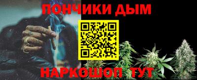 индика Гагарин