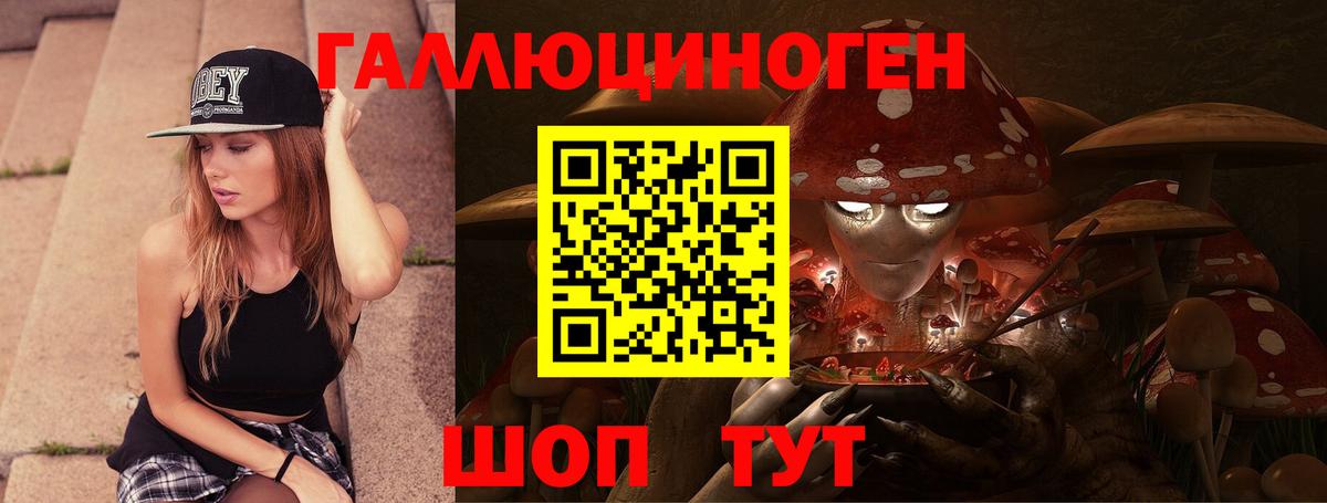 Галлюциногенные грибы Psilocybine cubensis Малоярославец